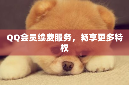 QQ会员续费服务，畅享更多特权-第1张图片-ZBLOG