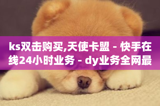 ks双击购买,天使卡盟 - 快手在线24小时业务 - dy业务全网最低价-第1张图片-ZBLOG