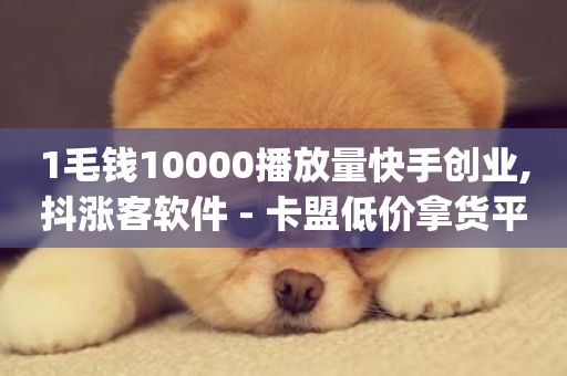 1毛钱10000播放量快手创业,抖涨客软件 - 卡盟低价拿货平台 - qq会员低价卡网-第1张图片-ZBLOG