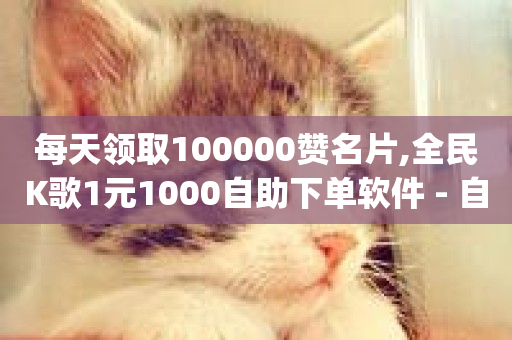 每天领取100000赞名片,全民K歌1元1000自助下单软件 - 自助下单24小时平台ks - qq最新免费头像框链接-第1张图片-ZBLOG