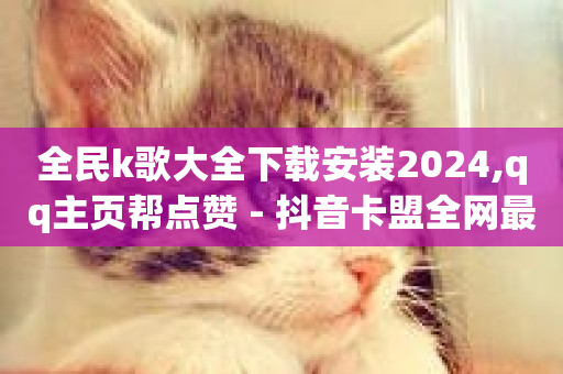 全民k歌大全下载安装2024,qq主页帮点赞 - 抖音卡盟全网最低价稳定卡盟 - qq业务代理平台-第1张图片-ZBLOG