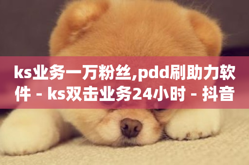 ks业务一万粉丝,pdd刷助力软件 - ks双击业务24小时 - 抖音下单自助平台-第1张图片-ZBLOG