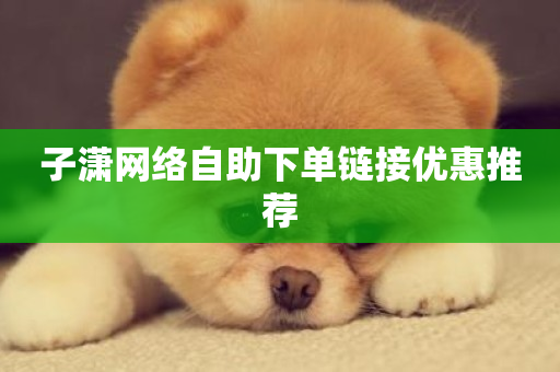 子潇网络自助下单链接优惠推荐-第1张图片-ZBLOG