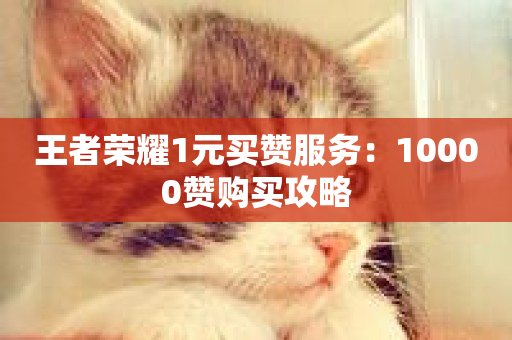 王者荣耀1元买赞服务：10000赞购买攻略-第1张图片-ZBLOG