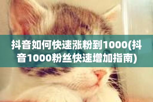 抖音如何快速涨粉到1000(抖音1000粉丝快速增加指南)