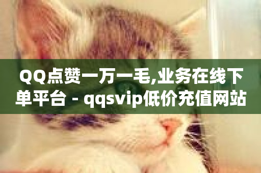 QQ点赞一万一毛,业务在线下单平台 - qqsvip低价充值网站 - QQ空间访客业务-第1张图片-ZBLOG