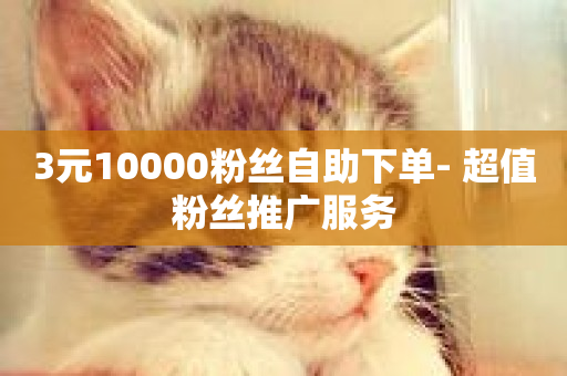 3元10000粉丝自助下单- 超值粉丝推广服务-第1张图片-ZBLOG