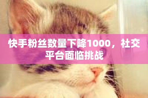 快手粉丝数量下降1000，社交平台面临挑战-第1张图片-ZBLOG