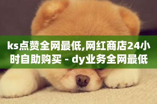 ks点赞全网最低,网红商店24小时自助购买 - dy业务全网最低价 - 全网24小时自助下单网站在线