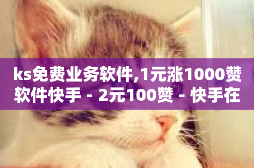 ks免费业务软件,1元涨1000赞软件快手 - 2元100赞 - 快手在线自助业务平台-第1张图片-ZBLOG