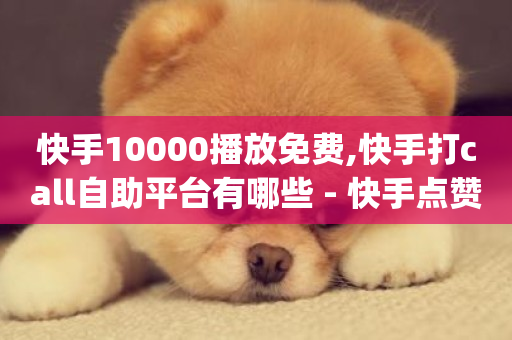 快手10000播放免费,快手打call自助平台有哪些 - 快手点赞秒1000双击0.01元小白龙马山肥大地房产装修 - dy24小时自助服务平台