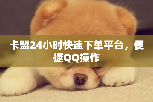 卡盟24小时快速下单平台，便捷QQ操作-第1张图片-ZBLOG