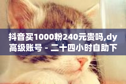 抖音买1000粉240元贵吗,dy高级账号 - 二十四小时自助下单雷神 - 快手浏览量