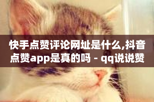 快手点赞评论网址是什么,抖音点赞app是真的吗 - qq说说赞在线自助下单网站 - QQ空间名片点赞软件