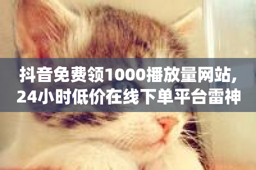 抖音免费领1000播放量网站,24小时低价在线下单平台雷神 - dy赞在线自助下单网站 - 快手点赞低价货源-第1张图片-ZBLOG