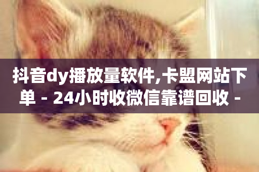 抖音dy播放量软件,卡盟网站下单 - 24小时收微信靠谱回收 - 抖音一元可以卖一千个赞-第1张图片-ZBLOG