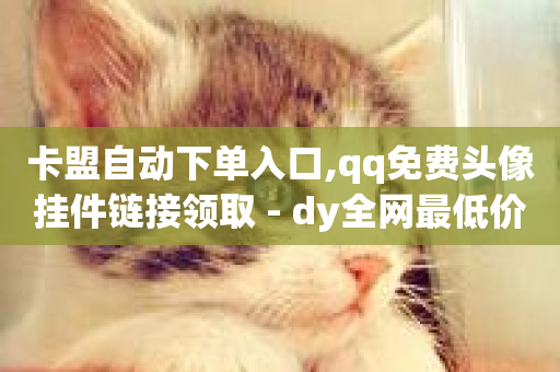 卡盟自动下单入口,qq免费头像挂件链接领取 - dy全网最低价下单平台 - qq互赞助手2024最新版-第1张图片-ZBLOG