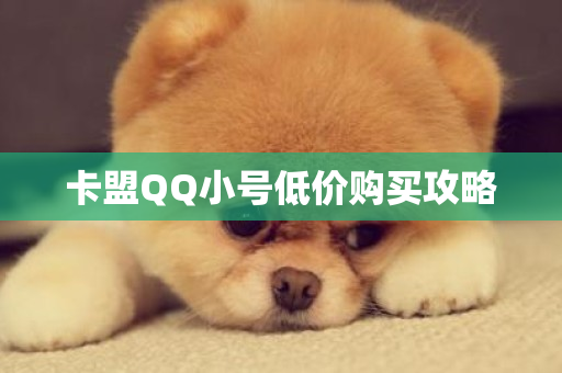 卡盟QQ小号低价购买攻略-第1张图片-ZBLOG