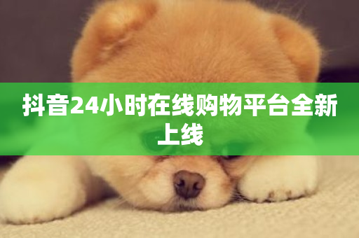 抖音24小时在线购物平台全新上线-第1张图片-ZBLOG