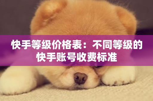 快手等级价格表：不同等级的快手账号收费标准-第1张图片-ZBLOG