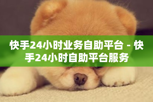 快手24小时业务自助平台 - 快手24小时自助平台服务-第1张图片-ZBLOG