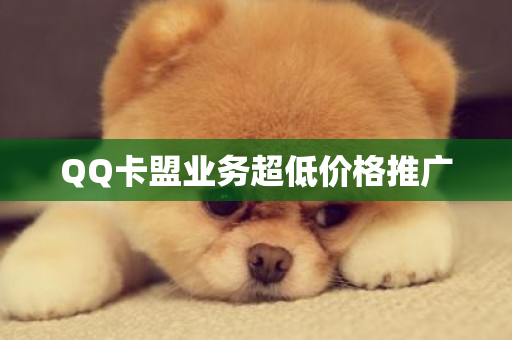 QQ卡盟业务超低价格推广-第1张图片-ZBLOG