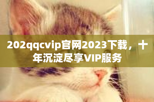 202qqcvip官网2023下载，十年沉淀尽享VIP服务-第1张图片-ZBLOG