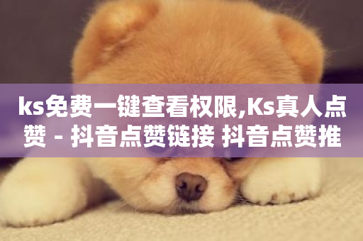 ks免费一键查看权限,Ks真人点赞 - 抖音点赞链接 抖音点赞推广 - 快手打call自助-第1张图片-ZBLOG