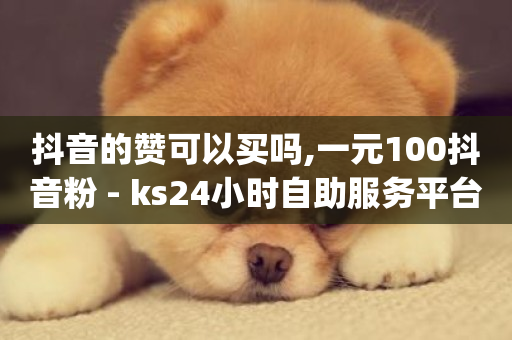 抖音的赞可以买吗,一元100抖音粉 - ks24小时自助服务平台便宜 - qq业务全网最低价-第1张图片-ZBLOG