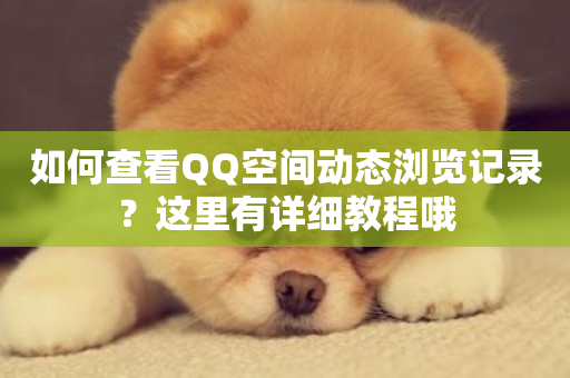 如何查看QQ空间动态浏览记录？这里有详细教程哦-第1张图片-ZBLOG