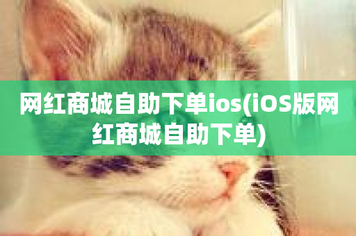 网红商城自助下单ios(iOS版网红商城自助下单)-第1张图片-ZBLOG