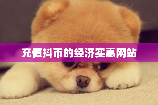 充值抖币的经济实惠网站-第1张图片-ZBLOG