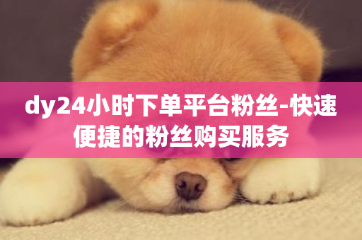 dy24小时下单平台粉丝-快速便捷的粉丝购买服务-第1张图片-ZBLOG