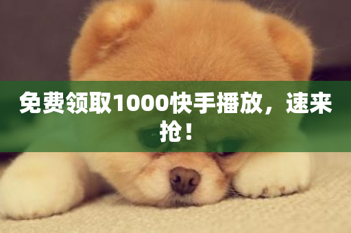 免费领取1000快手播放，速来抢！-第1张图片-ZBLOG