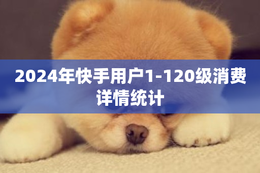 2024年快手用户1-120级消费详情统计-第1张图片-ZBLOG