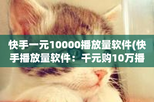 快手一元10000播放量软件(快手播放量软件：千元购10万播！)