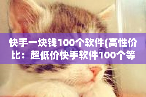 快手一块钱100个软件(高性价比：超低价快手软件100个等你拿)