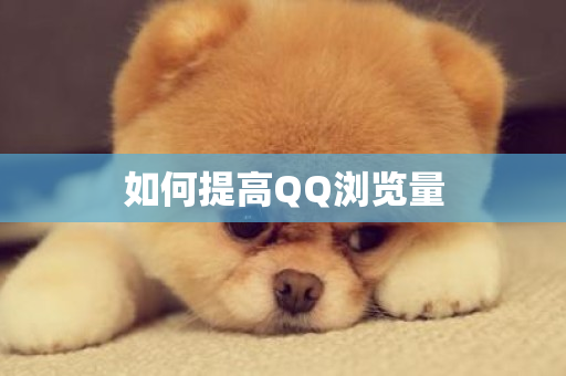 如何提高QQ浏览量-第1张图片-ZBLOG