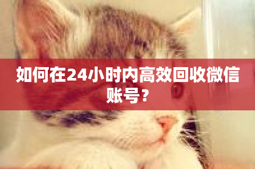 如何在24小时内高效回收微信账号？