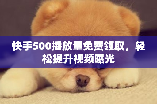 快手500播放量免费领取，轻松提升视频曝光-第1张图片-ZBLOG