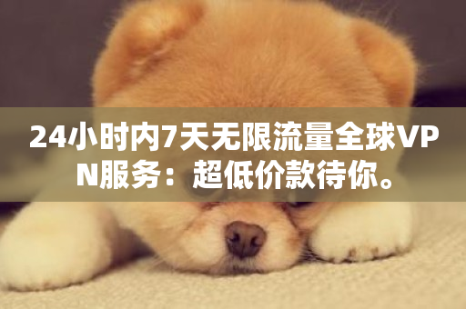 24小时内7天无限流量全球VPN服务：超低价款待你。-第1张图片-ZBLOG