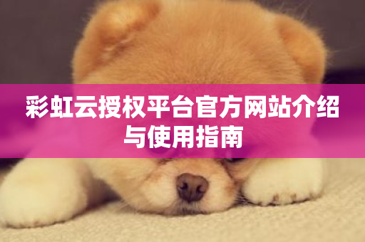 彩虹云授权平台官方网站介绍与使用指南-第1张图片-ZBLOG