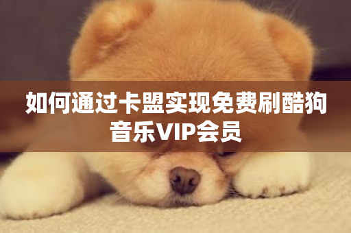 如何通过卡盟实现免费刷酷狗音乐VIP会员-第1张图片-ZBLOG