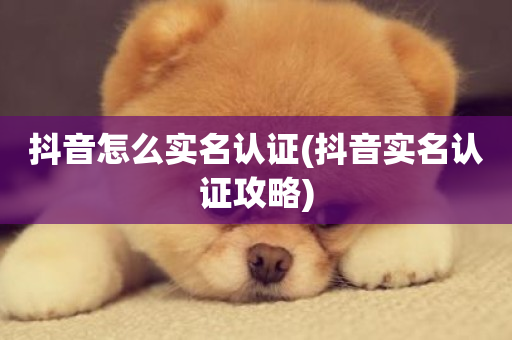 抖音怎么实名认证(抖音实名认证攻略)-第1张图片-ZBLOG