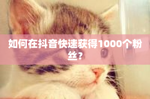 如何在抖音快速获得1000个粉丝？-第1张图片-ZBLOG