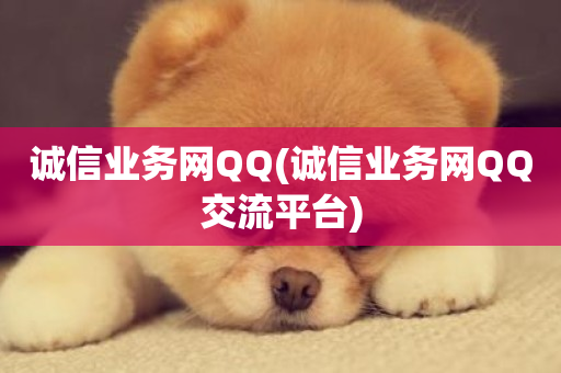 诚信业务网QQ(诚信业务网QQ交流平台)-第1张图片-ZBLOG