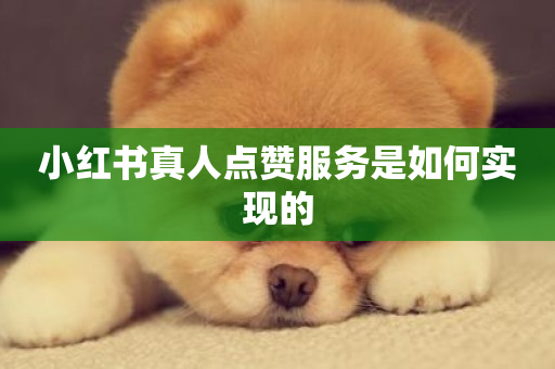 小红书真人点赞服务是如何实现的-第1张图片-ZBLOG