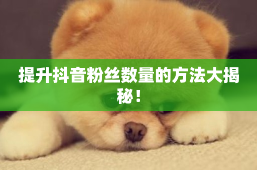 提升抖音粉丝数量的方法大揭秘！-第1张图片-ZBLOG