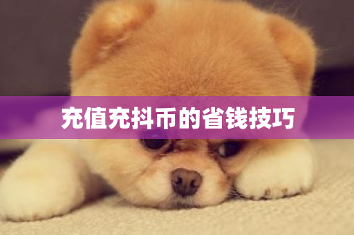 充值充抖币的省钱技巧-第1张图片-ZBLOG