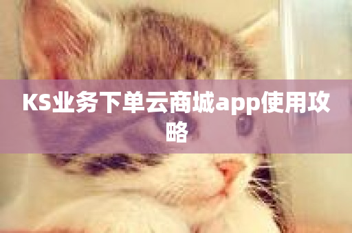 KS业务下单云商城app使用攻略-第1张图片-ZBLOG